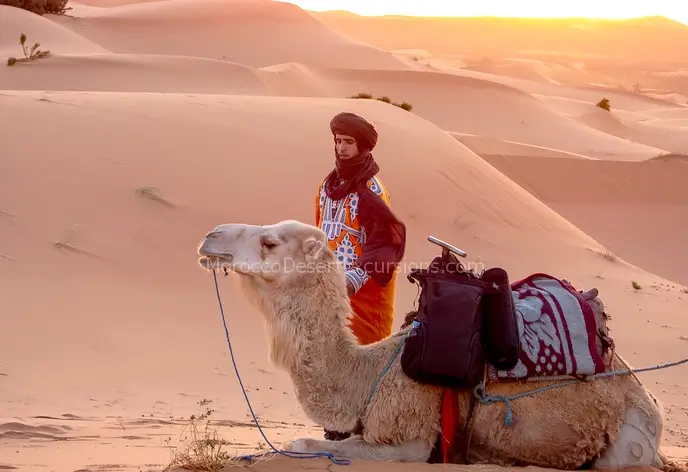 Morocco desert tours from Marrakech