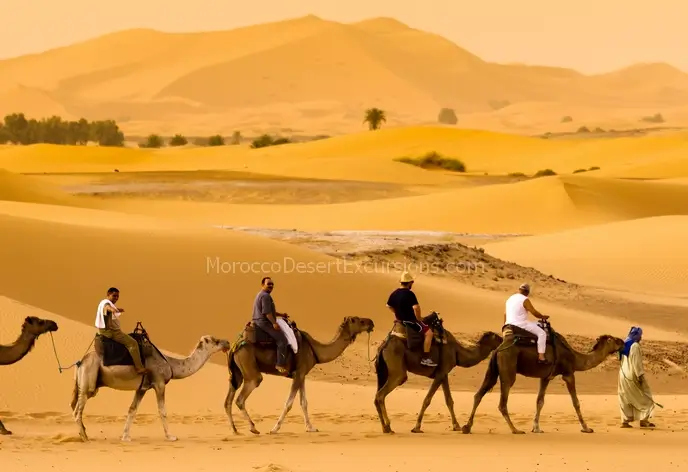 Marrakech to Fes desert tours