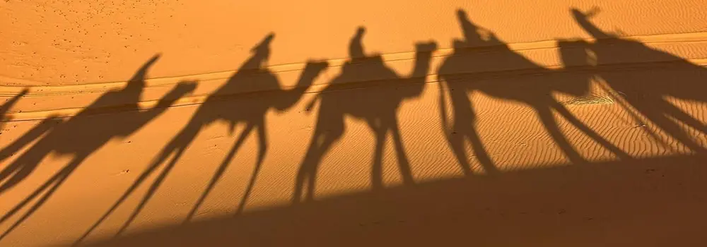 Marrakech desert tours