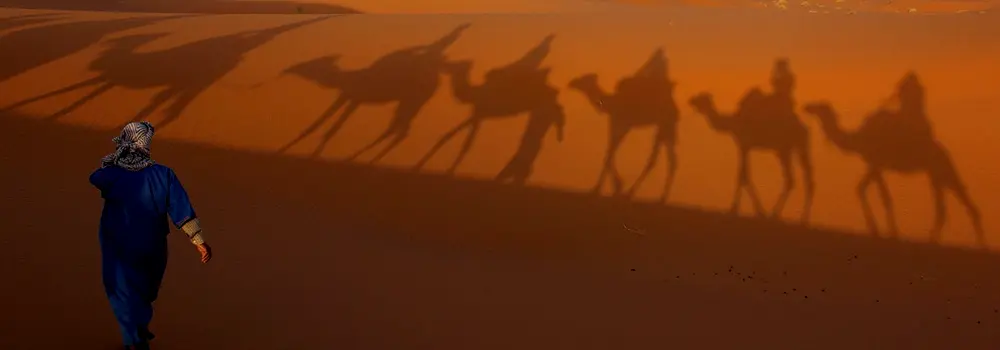 Marrakech to Fes desert tours