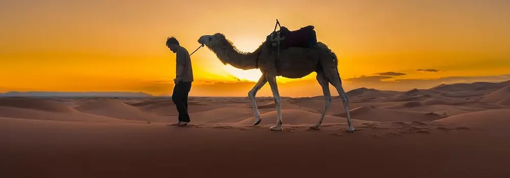 Morocco Travel Agency & Guided tours